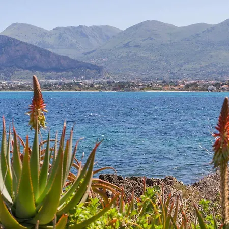 Pet Friendly In With Kitchen Semesterbostad Palermo