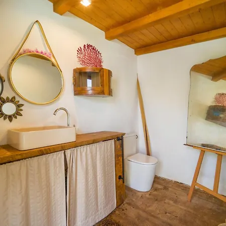 Pet Friendly In With Kitchen بيت للعطل